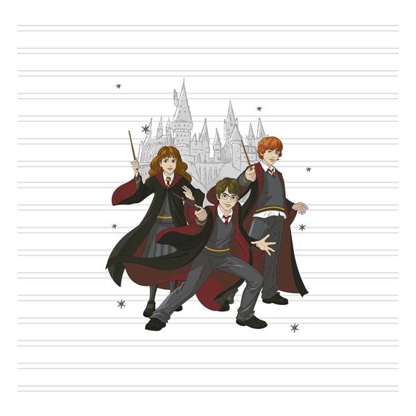 FUNDA NÓRDICA CON BOTONES 100% ALGODÓN MODELO HARRY POTTER TEAM PARA CAMA DE 105 (180X240 CM) - imagen 2