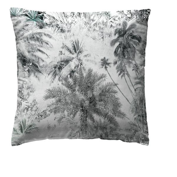 COJIN PALM TREE 80X80