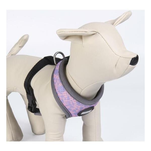 ARNÉS PREMIUM PARA PERROS XXS/XS DISNEY VILLANAS GRAY - imagen 2