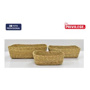 CESTA CONICA MIMBRE RECT 20X15X7CM PRIVILEGE